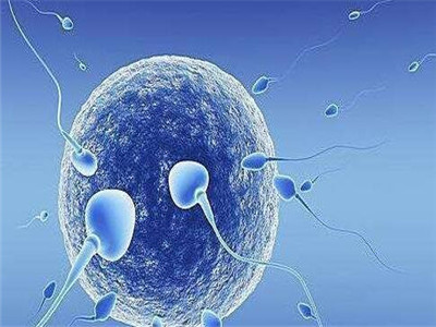 Fig.01